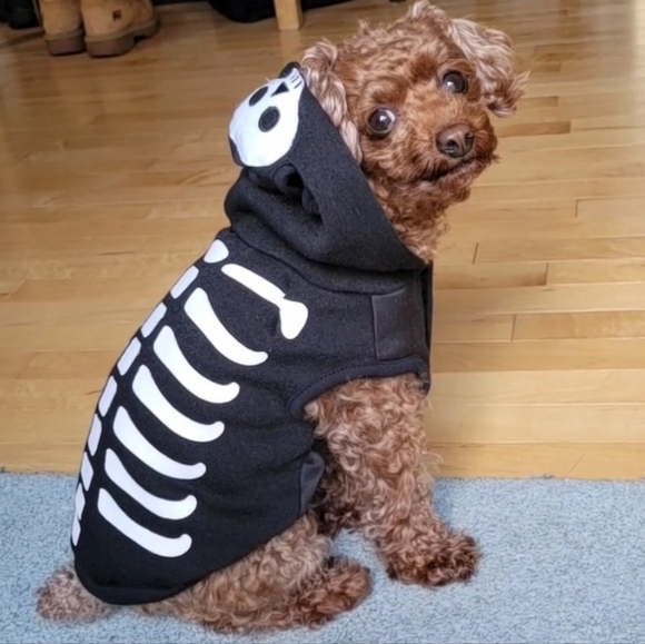 Meet your Posher, Jessie - Picture 1 of 2